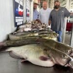 Fort Worth Fishing Guide