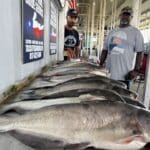 Fort Worth Fishing Guide